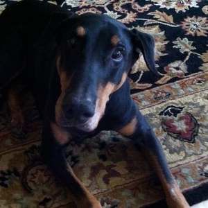 Meet your Posher, Kathy